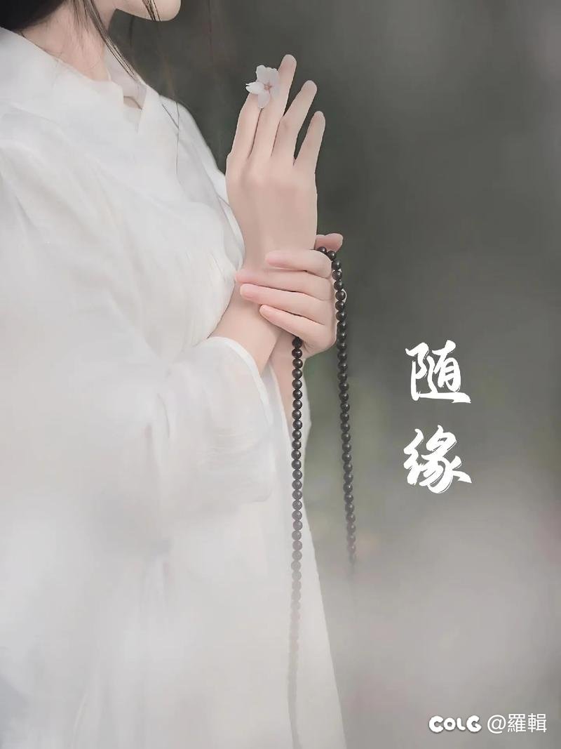 随缘“微氪”小团体1