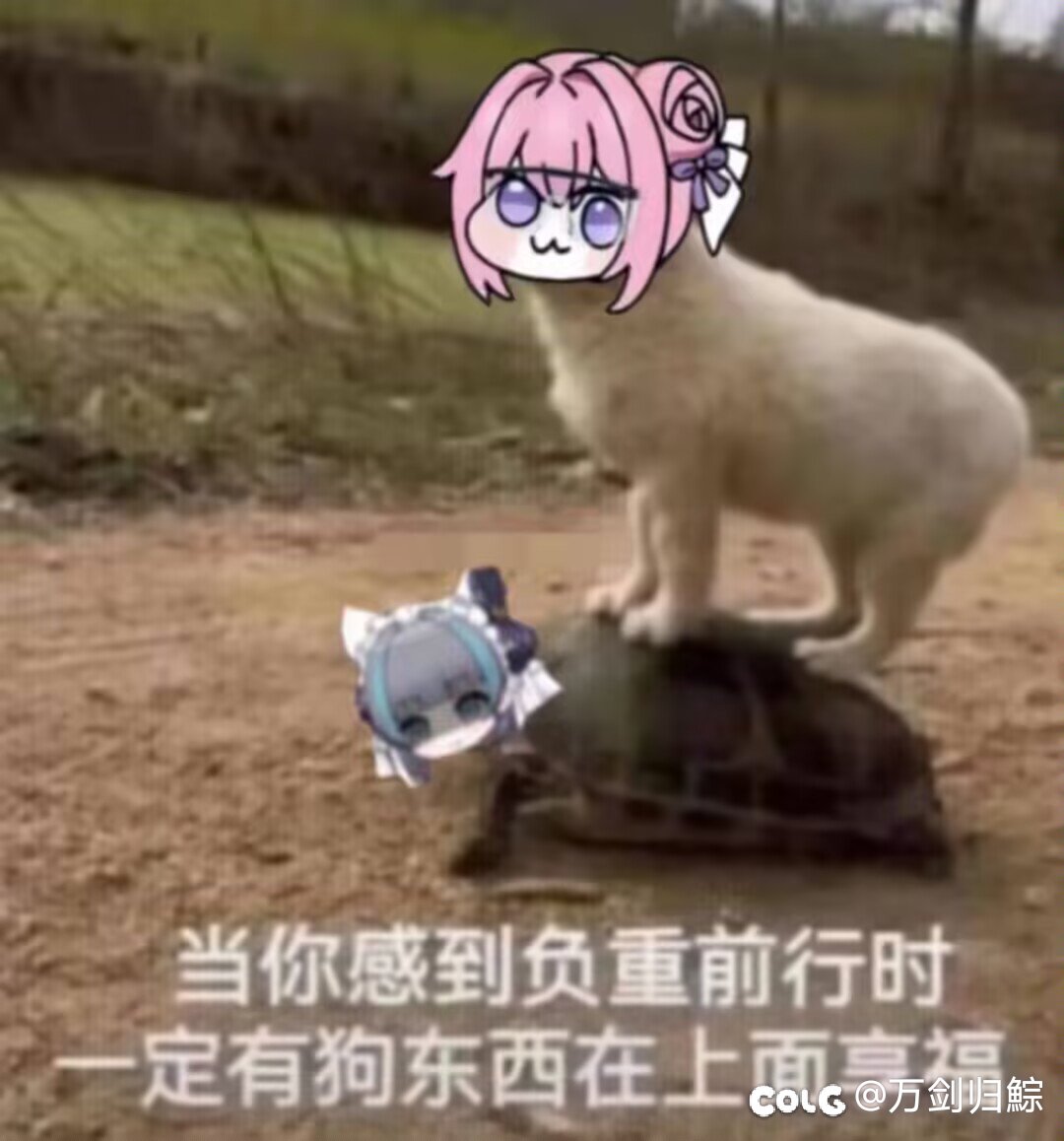 为什么对大号打金，小号打流水/小团体的恶意这么大？1