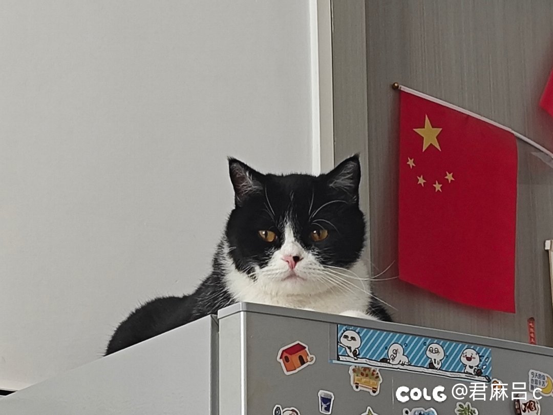 不会吧都五月份了还有人用雾神武器2