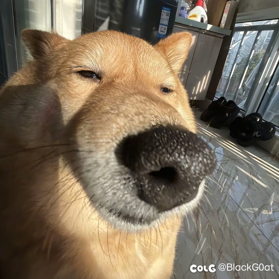 下面是来着舍友的对话1