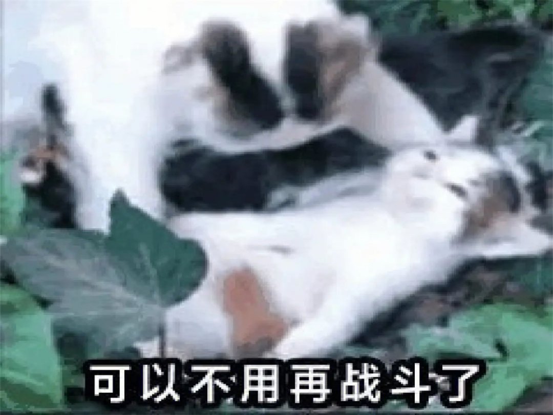 暂时不用再战斗了1