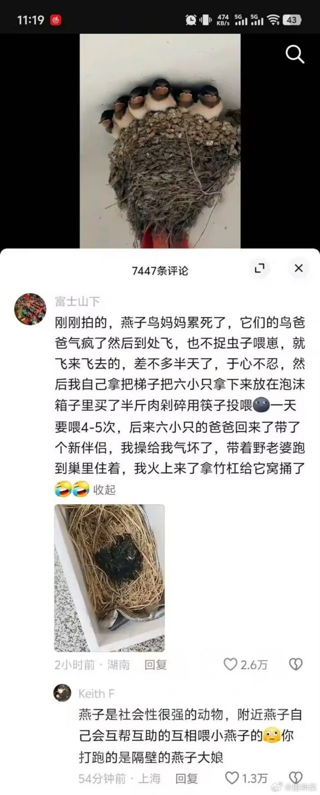 不猜性别挑战1