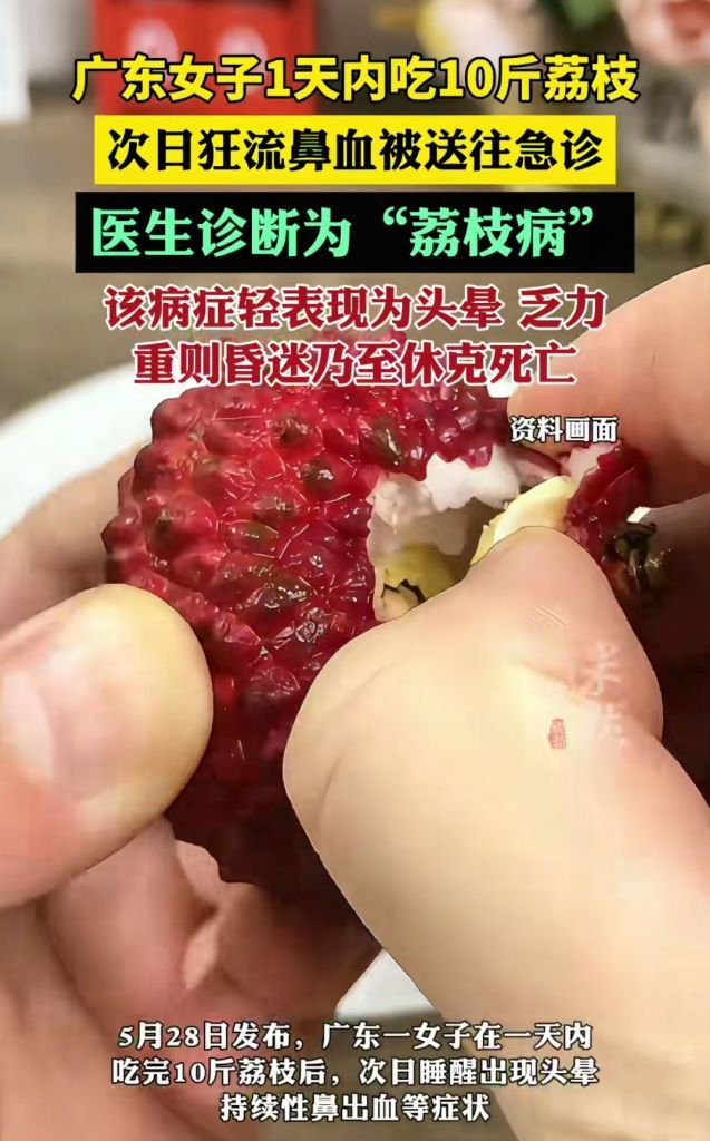 日啖荔枝三百颗1