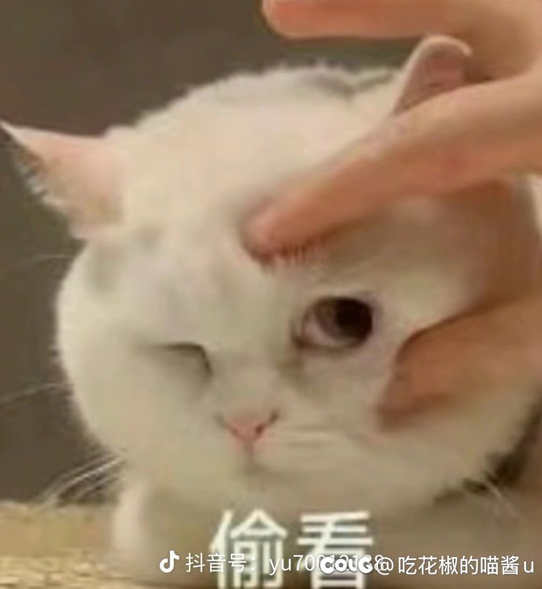 预测一波 马上就会有人做反向补丁了1