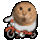 电脑坏了打不了团了1