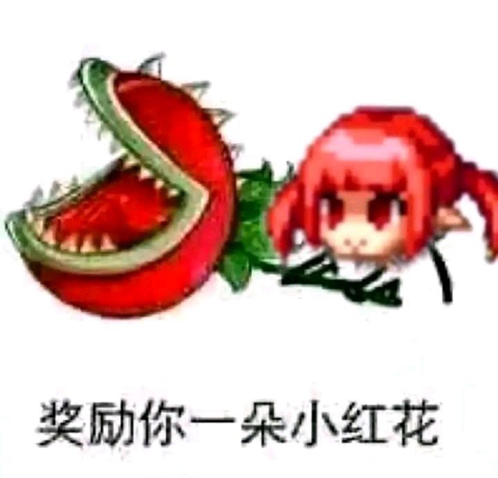 。。。。。。1