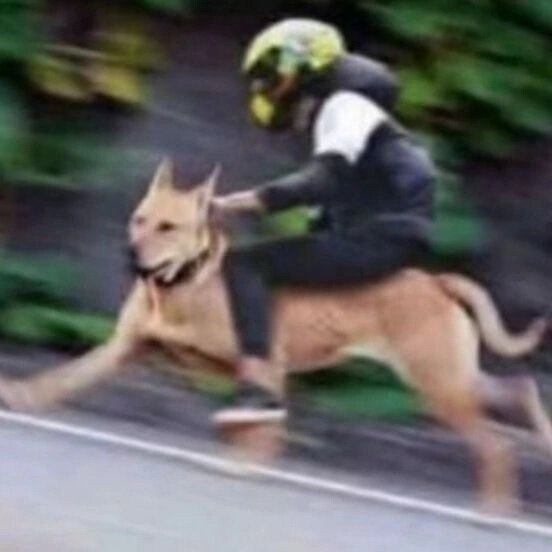 0太初潜影要换成2太初群猎吗5