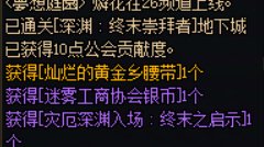 别乱说 我们dnf没有检测4