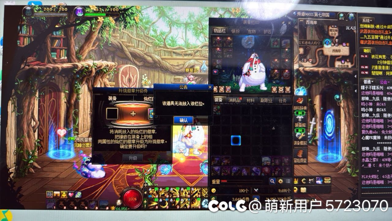 关于玲珑徽章升级券的问题1