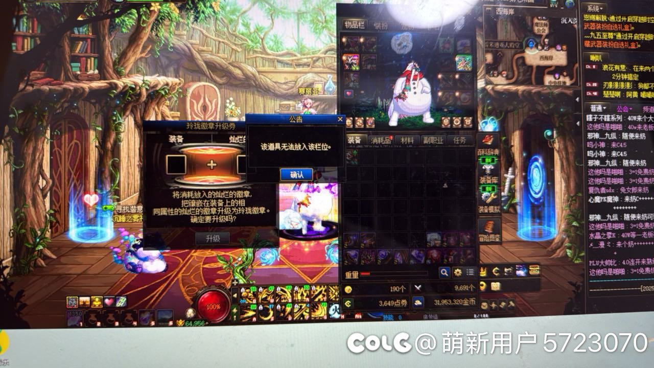 关于玲珑徽章升级券的问题2