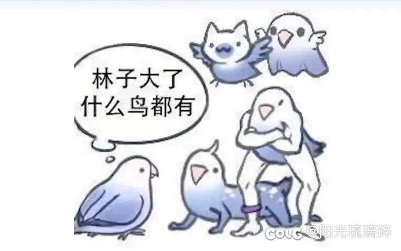 我们团已经消灭了等日流3