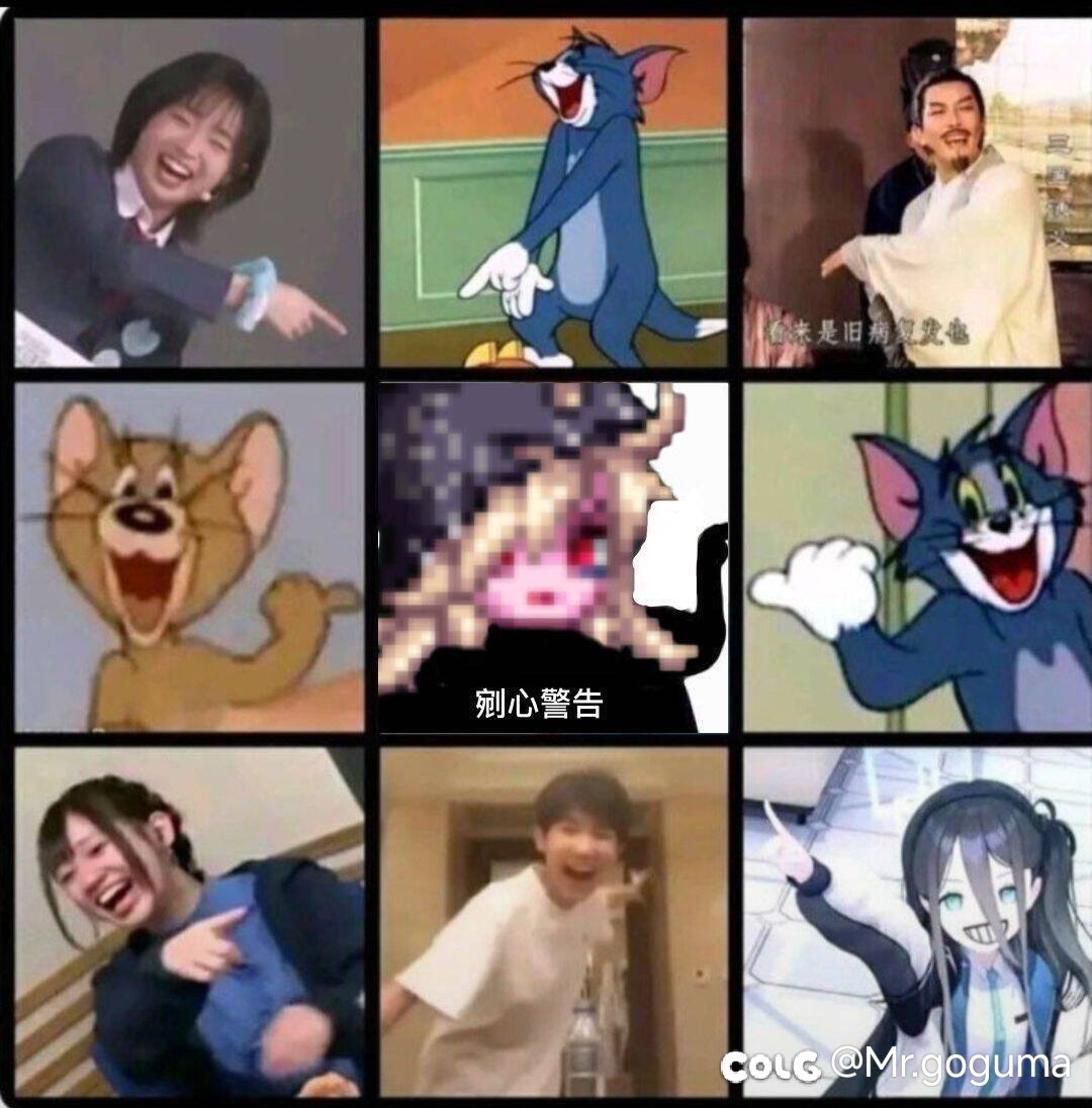 鹦鹉vp真小丑了1