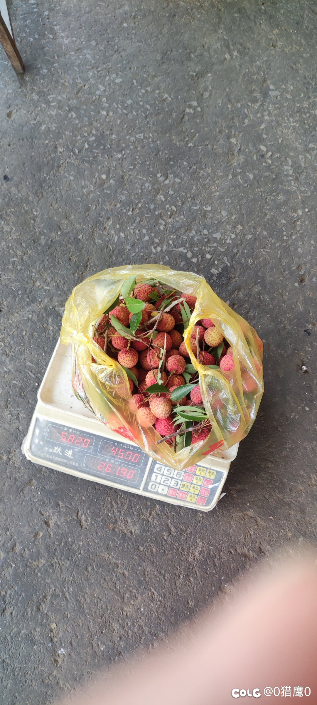 搞点荔枝吃吃1