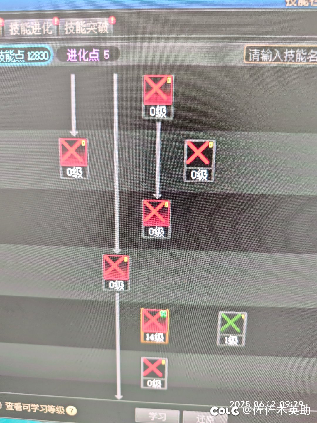 奇美拉的技能全部显示XX，是怎么回事1