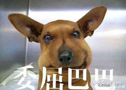大家帮忙分析下转职书怎么用1