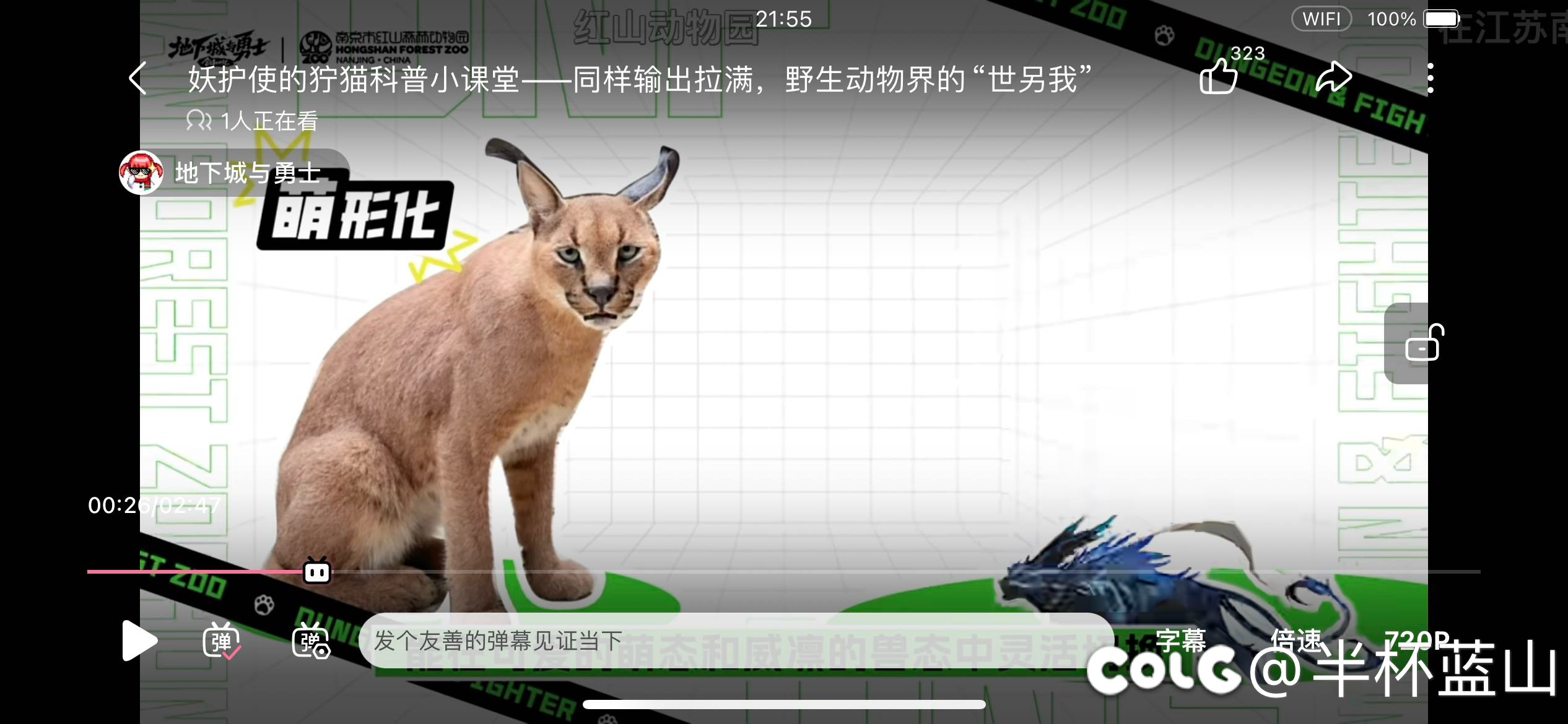 武神转什么合适一点1