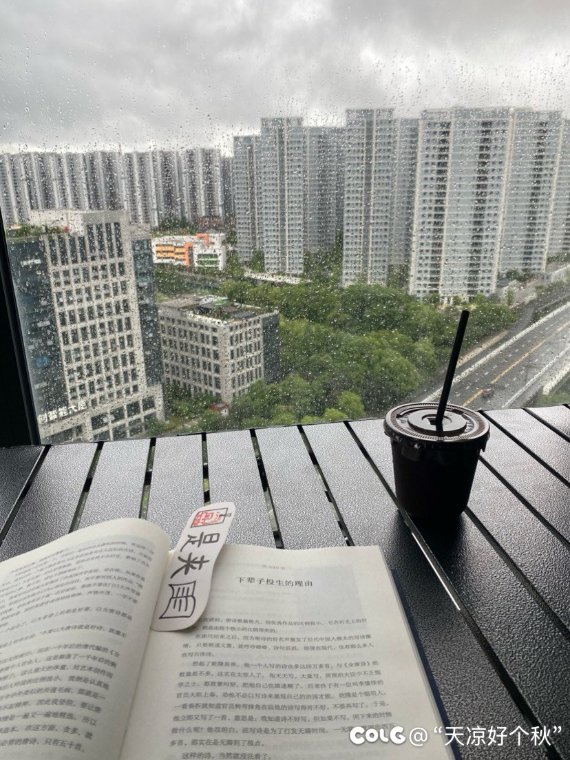 老婆非要买个露营桌放阳台2