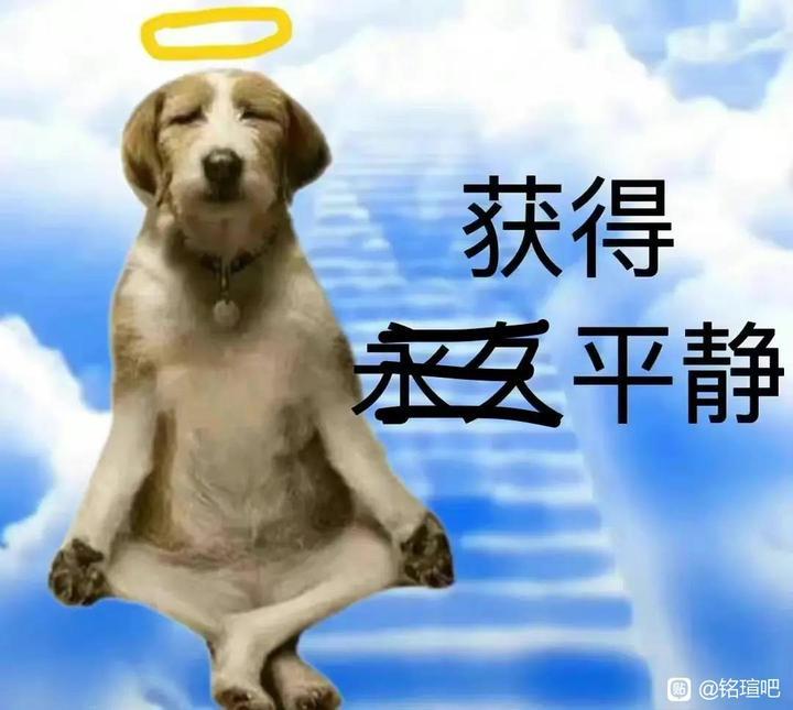 服役八年的1050ti光荣退役3