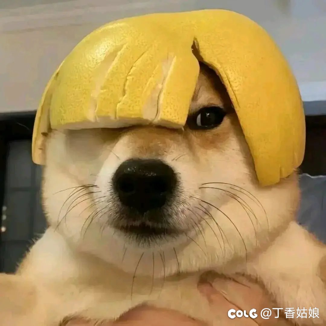 这次的破烂扭蛋机玩的人很少吧？2