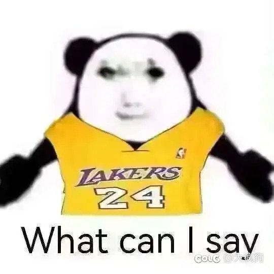大伙帮我出个主意1