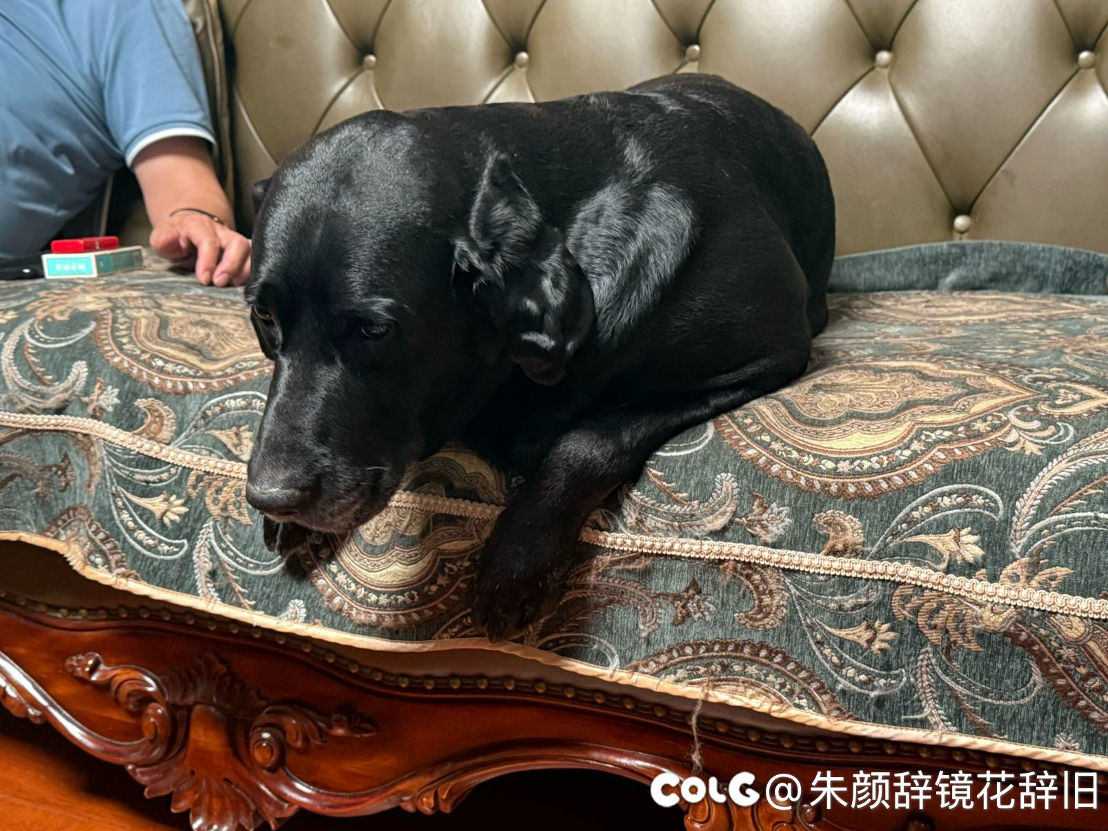 哦豁，边上的公园终于开全了3