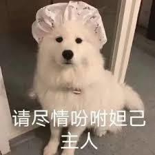 这么多人给AABB当枪使呢1