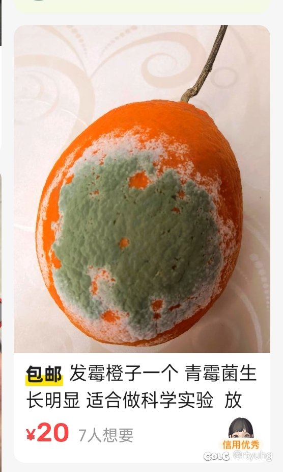 发霉的东西不要扔！可以卖钱！1