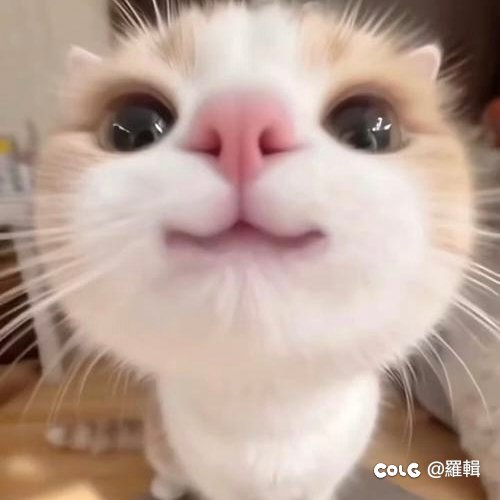 小游戏恶性bug！！！1