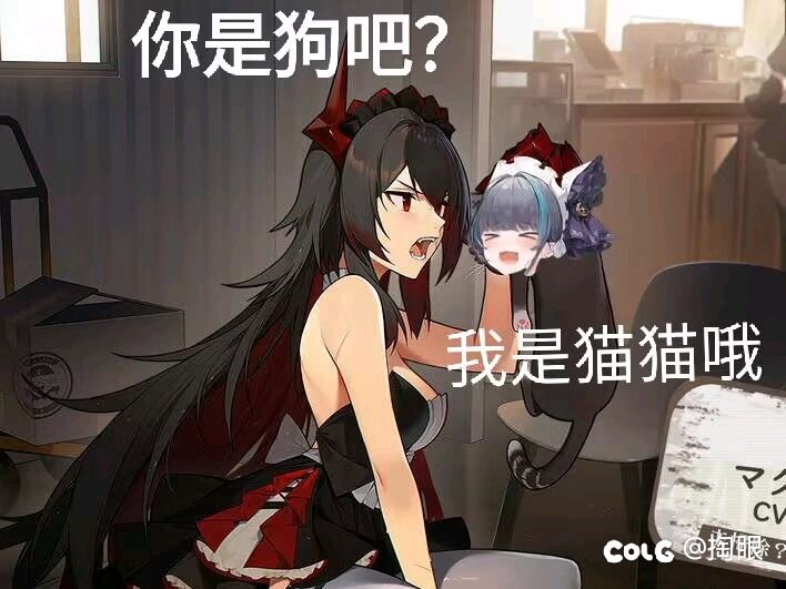 演都不演了是吧5