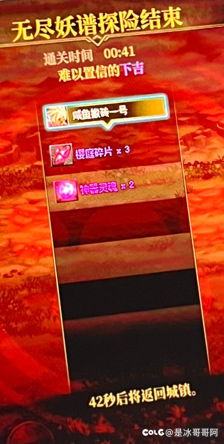 这河狸吗？小鸟票果然不如拍卖票2