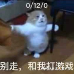 周年庆活动一坨答辩不关心，全都关心鸟票？1
