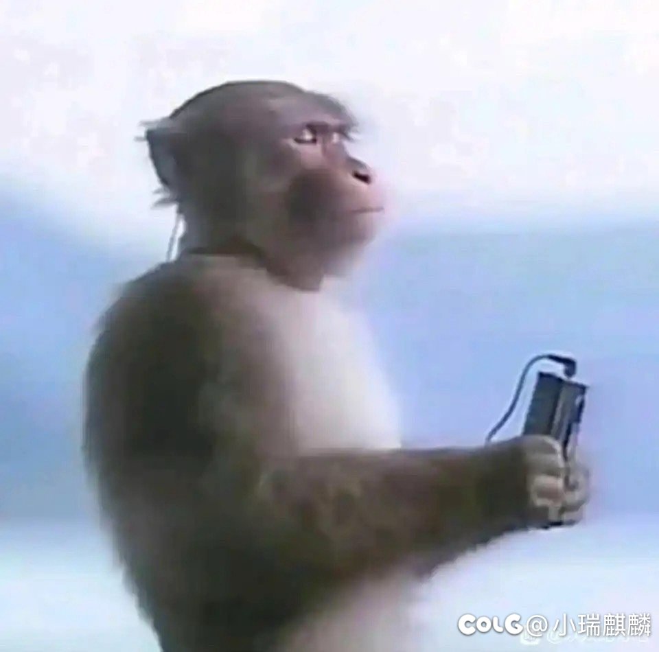 DNF这下是真没活了1