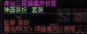 分享两款路人时装：兽人猫耳猫尾针不戳～7