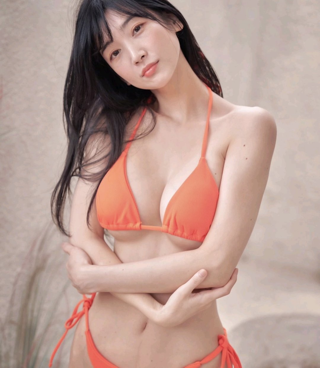 图图来了4