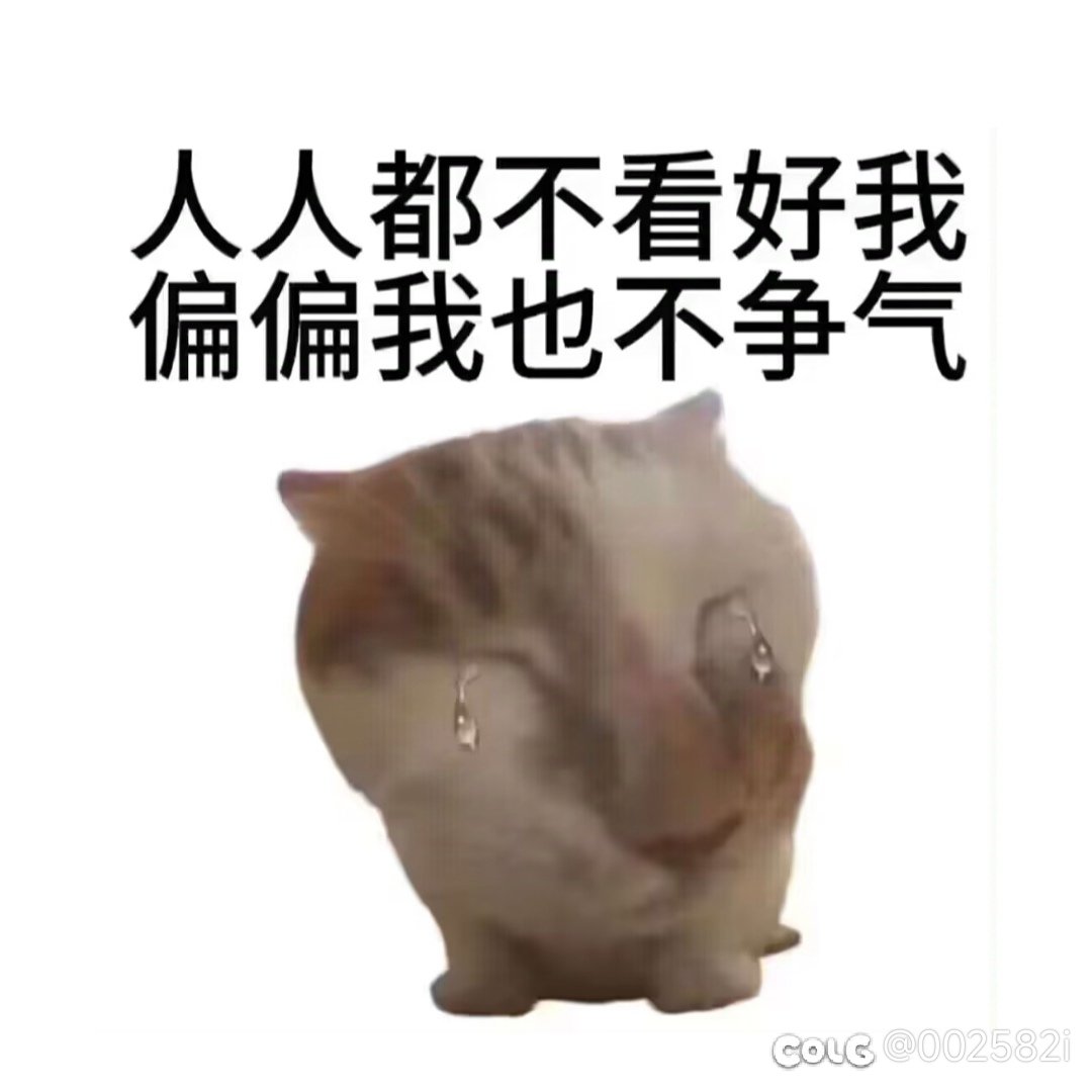 跨五小团体欢迎各位大佬的加入1