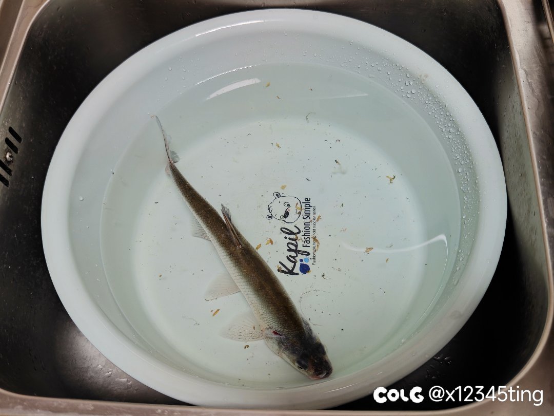 新手钓鱼佬破龟！！！2