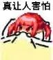 开了7个罐子全是重复2