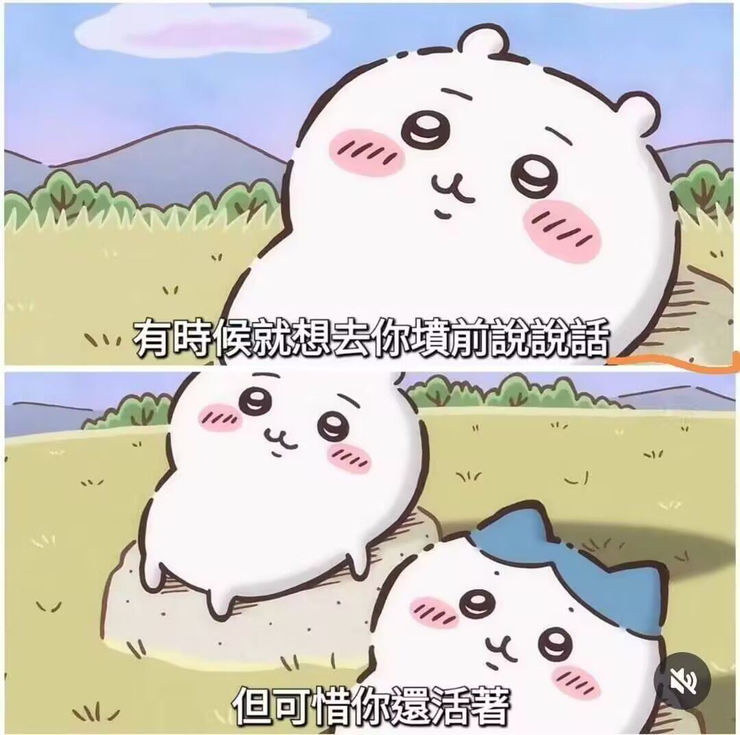 晚上好，白狐狸1