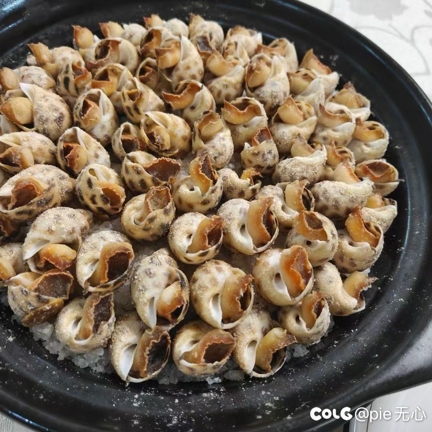 带侄子和小表弟去海边玩4