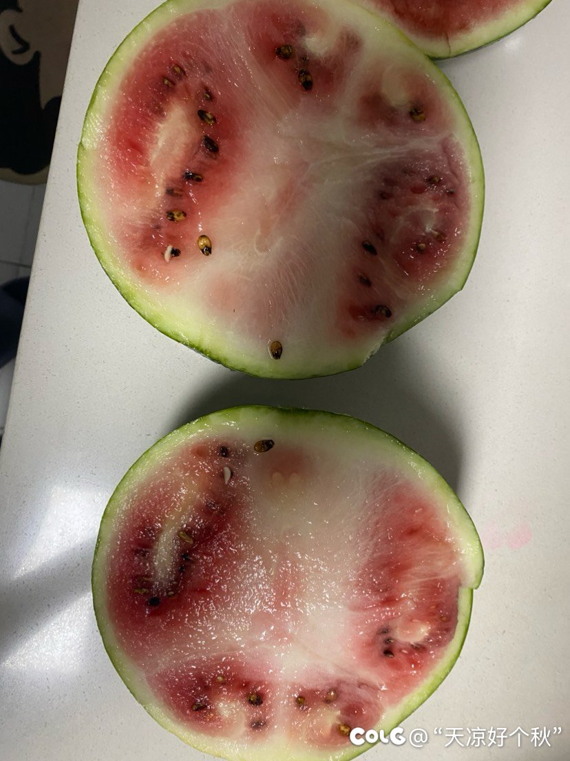 便宜真的没好货啊2