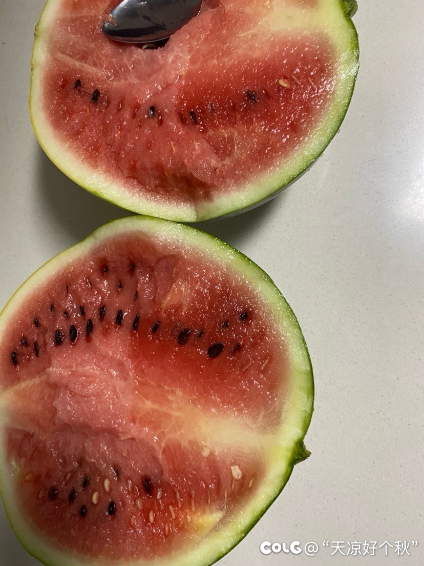 便宜真的没好货啊3