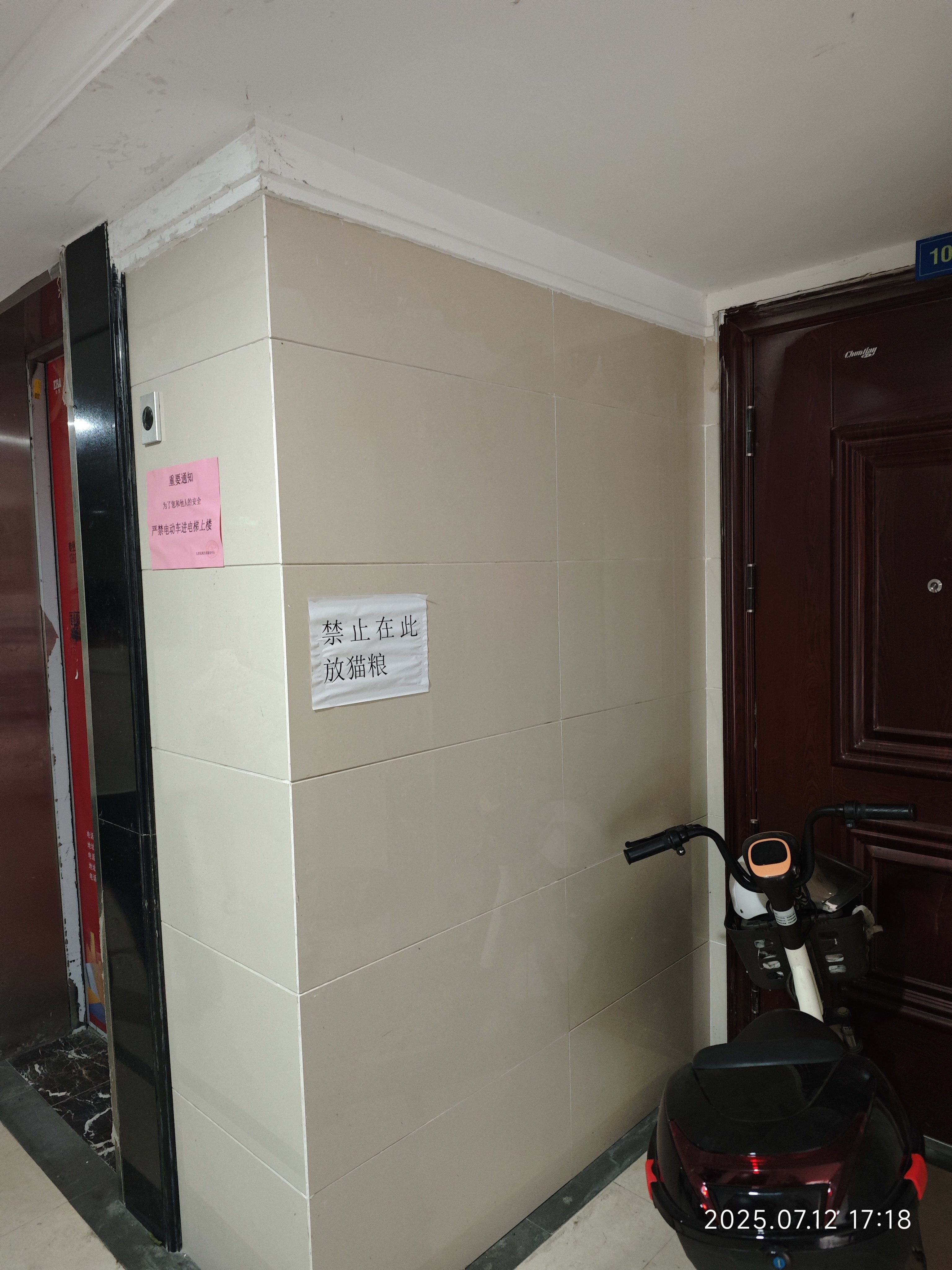你永远想不到爱猫人士能做出什么蠢事情1