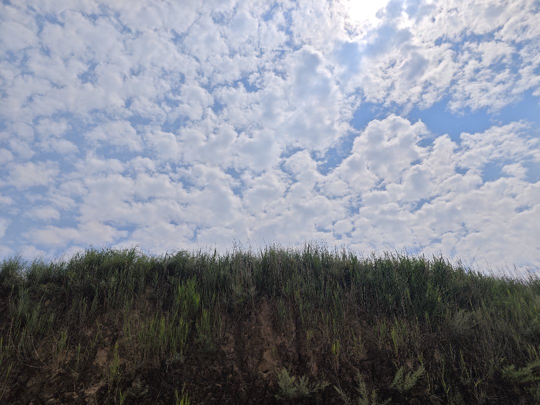 今日爬山2