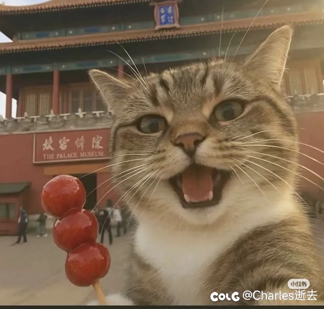 兄弟们黄金乡龙战追哪个1