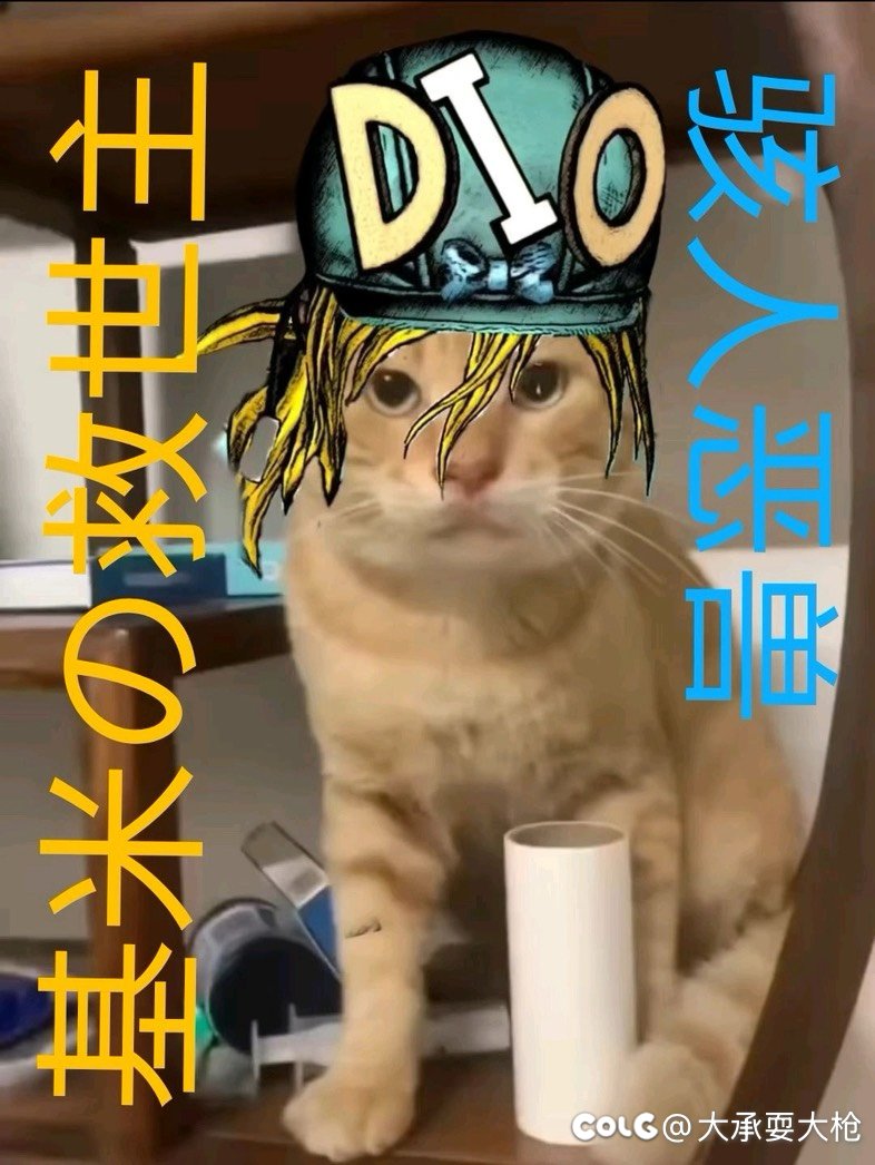 男枪谁最强最爽？1