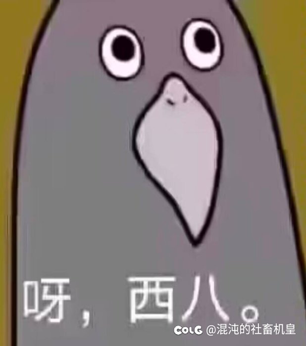 呱！不要小看创批的友谊啊！！！11
