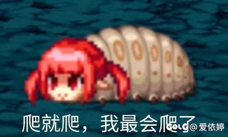 1+1 只会有惊喜，好开心5