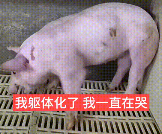 武神千万不要转气功，转了就后悔1