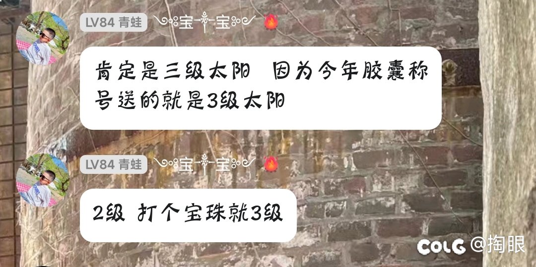 这位京爷，您说的技攻徽章呢5