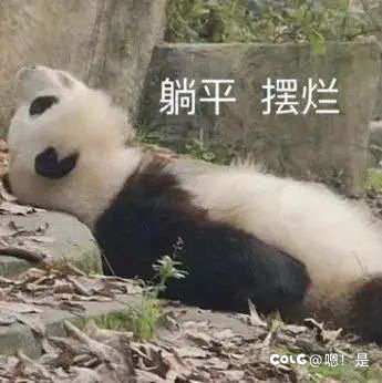 你能想象你50岁还在玩DNF通宵打团吗？1